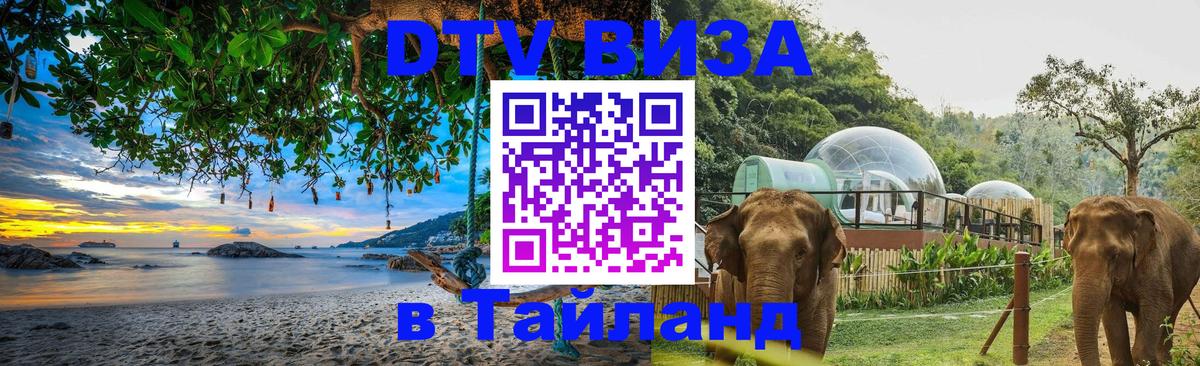 Сколько стоит DTV виза — актуальные цены, оформление даже без документов - Тверь  19.11.2025 